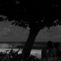 ジョンジョンなどフローレンス三兄弟の昨季ハワイのフィーチャー作品「HERE」