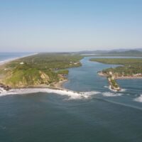 2024年に世界で発生したシャークアタック件数:エリアやアクティビティ別データ