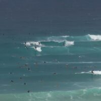 サイクロン「アルフレッド」上陸前のグリーンマウント!3月2日フリーサーフ動画