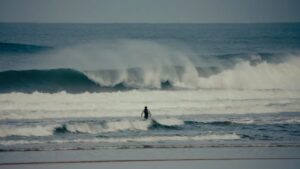 Leonardo-Fioravanti-Scoring-