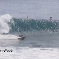 タティアナ・ウェストン・ウェブがバリ島ウルワツに登場！フリーサーフィン動画