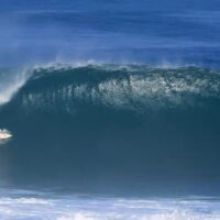 希少な貸切サーフスポットのスンバ島オッキーズレフト！ニック・ヴォン・ラップVlog