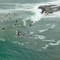 CTイベント会場移転となったスナッパーロックスが復活!フリーサーフィン動画