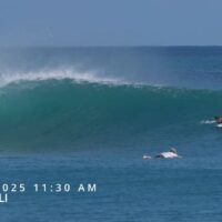 バリ島でコンパクトなバレルならビンギン!6月6日のフリーサーフ動画