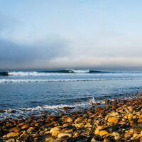 2025年CT第8戦「トレッスルズプロ」の出場サーファーや波予報などイベント情報