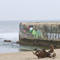 2025年6月30日撮影のインドネシアのジャワ島タートルズの波情報