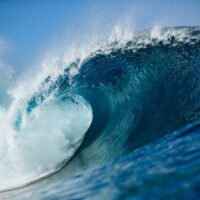 2025年CT第11戦「タヒチプロ」のワイルドカードなど出場サーファー情報