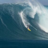 アルビー・レイヤー主演作「LESS THAN EASY」で未使用となったBグレード動画