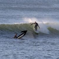 前乗りするサーファーがあまりに多い現状！サーフエチケットを意識しよう