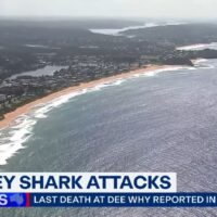 オーストラリアのシドニーエリアで今週末シャークアタック!サーファーの死亡事故