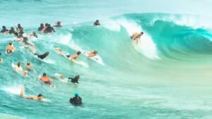 世界一混雑するサーフスポットのスナッパーロックス！日常のカオス動画