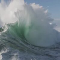 シドニーの最恐スラブとして知られるケープソランダー！最大サイズのドローン動画