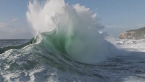 シドニーの最恐スラブとして知られるケープソランダー！最大サイズのドローン動画