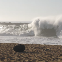 ザ・ウェッジに2026年のファーストスウェルがヒット！フリーサーフィン動画