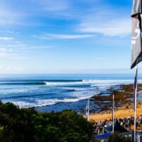 2027年CTワイルドカードが異例の早期発表へ！マタニティワイルドカードが新設