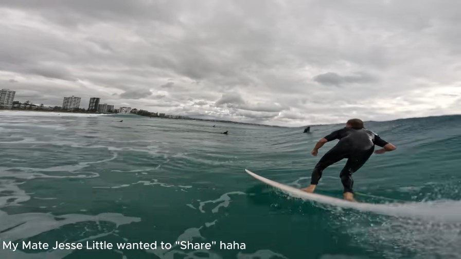 激込みスナッパーロックスでPOV撮影!シェルドン・シムカスのフリーサーフィン動画