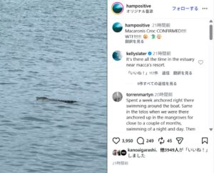 クロコダイルがサーフシーズン中のメンタワイ諸島マカロニ近くで出没