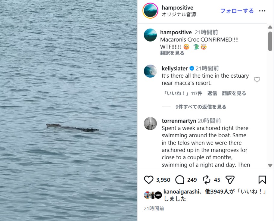クロコダイルがサーフシーズン中のメンタワイ諸島マカロニ近くで出没