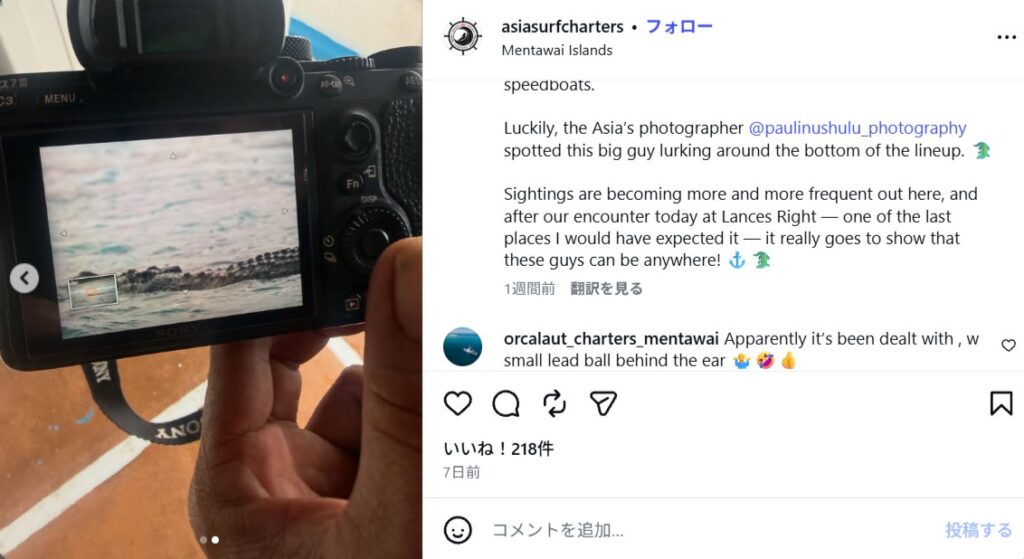メンタワイ諸島の有名スポットでワニが出没して当局に射殺されることに